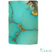 تصویر نگین فیروزه نیشابور شجر سبز آبی کد N394 