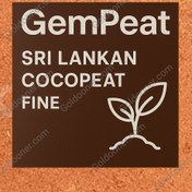 تصویر کوکوپیت سریلانکا Low EC 