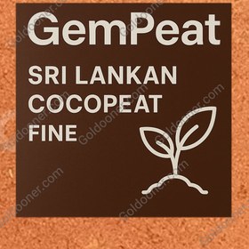 تصویر کوکوپیت سریلانکا Low EC 