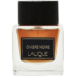 تصویر عطر ادوپرفیوم مردانه لالیک مدل Ombre Noire حجم ۱۰۰ میلی لیتر تلخ گرم 