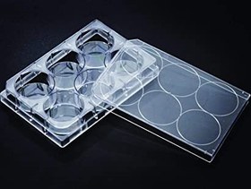 تصویر پلیت کشت سلول 6 خانه SPL Cell Culture Plate