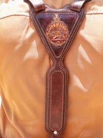 تصویر قطار حمایل دار ۴ 