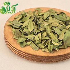 تصویر برگ مورد 