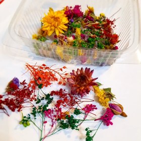 تصویر پک گل خشک 