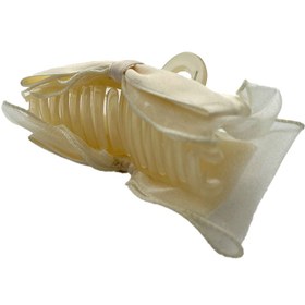 تصویر کلیپس پاپیون شیری 