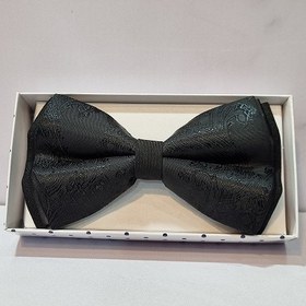 تصویر پاپیون P21 