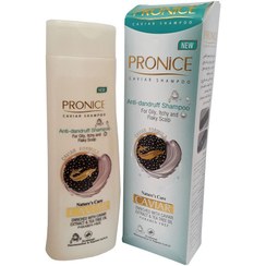 تصویر شامپو ضد شوره خاویار Pronice Pronice Caviar Anti-Dandruff Shampoo