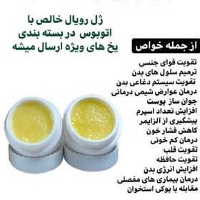 تصویر ژل رویال اصل 20 گرمی خرید از زنبودار ( 1 گرم 23 ت) 