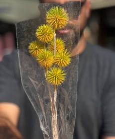 تصویر گل خشک طبیعی اچینو 