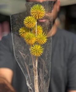 تصویر فروشگاه گلستونک