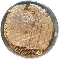 تصویر عسل طبیعی با موم خودبافت- 1000 گرم 