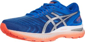 Asics nimbus sales 22 mens