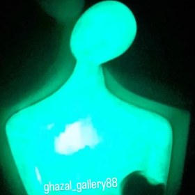 تصویر همدم سایز بزرگ و گلدان 