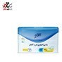 تصویر پد بی اختیاری ادارار آقایان تافته بسته 5 عددی Tafteh Bladder leakage Protection Pads 5pcs