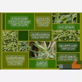 تصویر ترخون خشک (فوق ممتاز-بسیار خوش عطر و ضد میکروبی شده) 