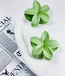 تصویر کلیپس پلومریا جیر - سفید 