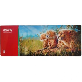 تصویر مداد رنگی 50 رنگ فکتیس طرح بچه پلنگ Factis 50 colored pencils, baby leopard design