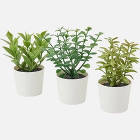 تصویر گیاه دکوراتیو ایکیا مدل FEJKA بسته 3 عددی IKEA FEJKA Artifi potted plant w pot, set of 3, in/outdoor herbs, 5 cm