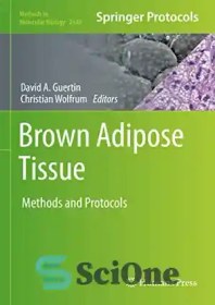 تصویر دانلود کتاب Brown Adipose Tissue: Methods and Protocols - بافت چربی قهوه ای: روش ها و پروتکل ها 