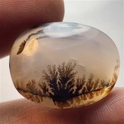 تصویر شجر قرینه قاین 