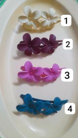 تصویر گیره سر گل بابونه 