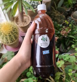 تصویر رب انار 