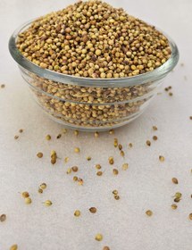 تصویر تخم گشنیز ۱ کیلوگرم 