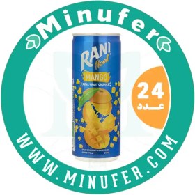 تصویر نوشیدنی انبه رانی حاوی تیکه های واقعی میوه 240 سی سی - باکس 24 عددی Rani Mango Drink - 240ml