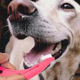 تصویر مسواک انگشتی خمیده سگ pet Finger Tooth Brush curve