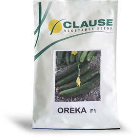 تصویر بذر خیار اورکا کلوز فرانسه 2500 عددی Clouse Cucumber Oreka Seed Num 2500 Seeds