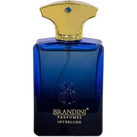 تصویر عطر ادکلن مردانه آمواج اینترلود بلک ایریس برندینی (Brandini Amouage Interlude Black Iris) حجم 33 میل Brandini Interlude Iris / Amouage Interlude Black Iris