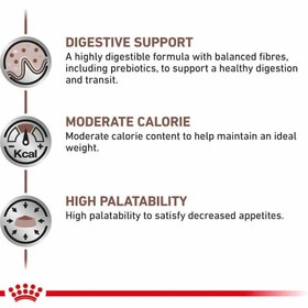 تصویر غذای خشک گربه گاسترو کنترل وزن رویال کنین 2 کیلویی (مشکلات گوارشی) Royal Canin Gastrointestinal Moderate Calorie 2kg