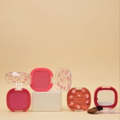 تصویر پالت رژ گونه تک رنگ براش دار Blusher 