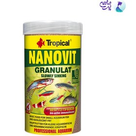 تصویر غذای گرانول ماهی تروپیکال مدلnanovit granulat 100ml وزن 70 گرم 