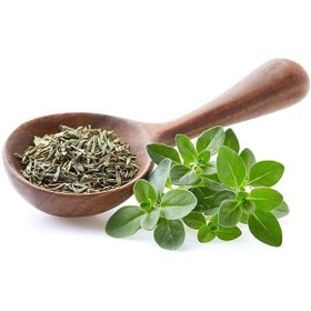 تصویر برگ اویشن خشک شده - پاکت پلاستیکی / 100g / برگ خشک اقتصادی dried thyme leaves