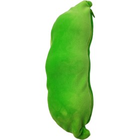 تصویر نخود فزنگی نانو 