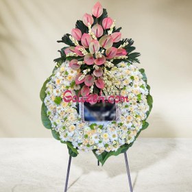 تصویر تاج گل درباری مریم 