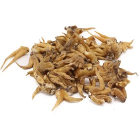 تصویر پودر ثعلب پنجه ای 