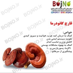 تصویر قارچ گانودرما (بسته 50گرمی) 