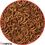 تصویر غذا ماهی کرم میلورم خشک 