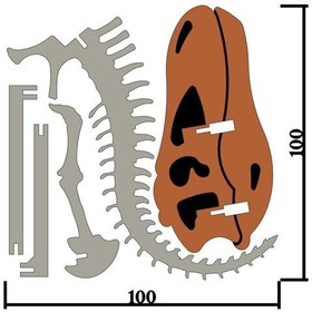 تصویر پازل و فیگور سه بعدی اسکلت برونتوسوروس -سایز کوچک 