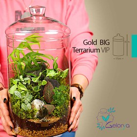 تصویر تراریوم مدل گلد بزرگ vip 