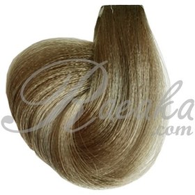 تصویر رنگ مو پرستیژ خاکستری در 10 رنگ - بلوند خاکستری خیلی روشن شماره 9.1 Perestige Ash Hair Colors