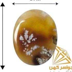 تصویر نگین شجر بهاری کد(68) 