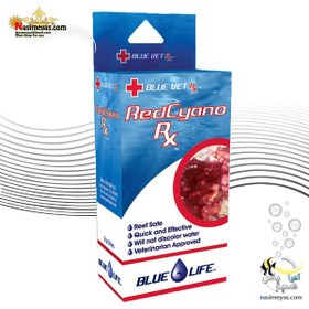 تصویر داروی ضد سیانو باکتری شرکت بلو لایف Blue Life RedCyano Rx