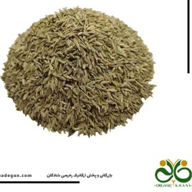 تصویر زیره سبز 