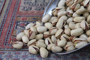 تصویر پسته کله قوچی انس ۲۶_۲۸