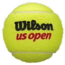 تصویر توپ تنیس US Open Tennis Balls - 4 Ball Can 