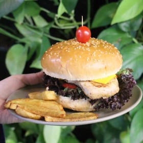 تصویر چیکن برگر 