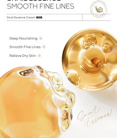 تصویر کرم لیفت و رطوبت رسان حلزون کره ای لایکو – 25g LAIKOU Korea Snail Essence Cream